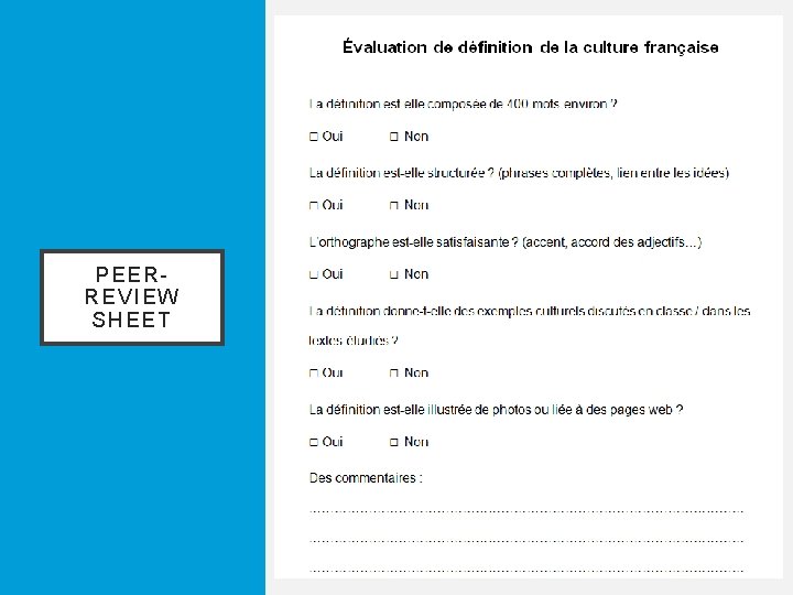 PEERREVIEW SHEET 