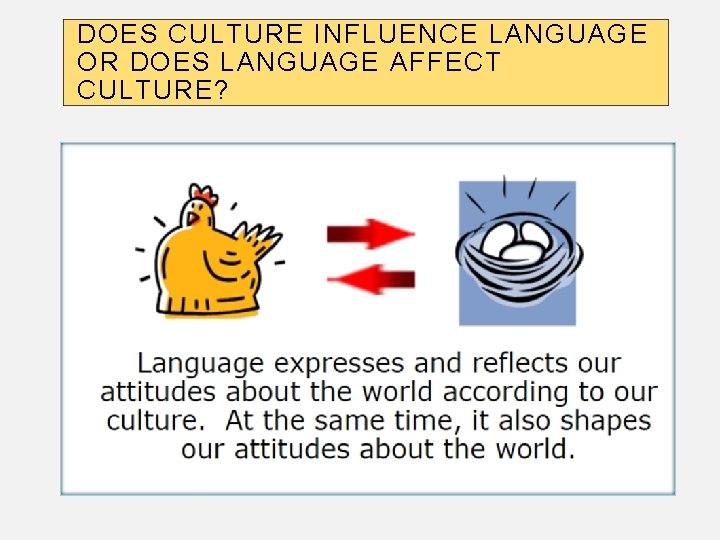 DOES CULTURE INFLUENCE LANGUAGE OR DOES LANGUAGE AFFECT CULTURE? 