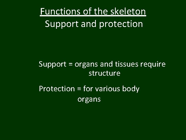 Functions of the skeleton Support and protection Support = organs and tissues require structure