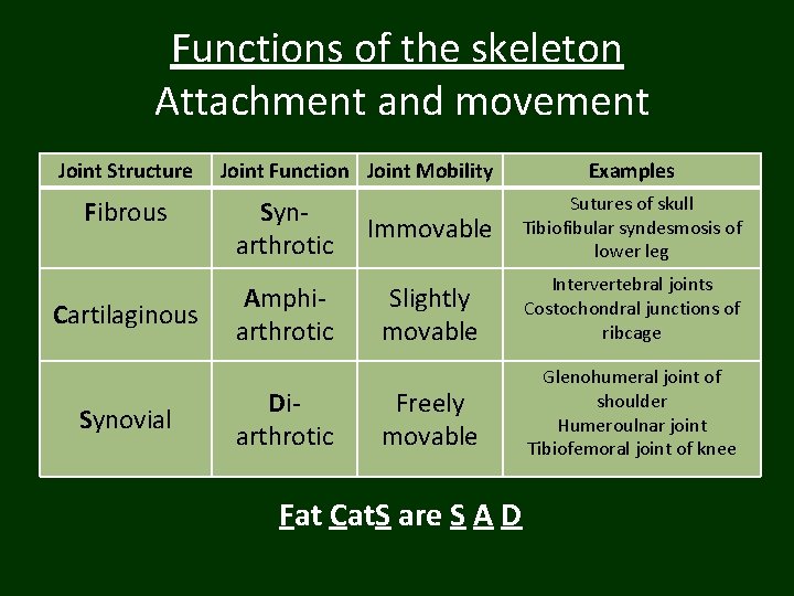 Functions of the skeleton Attachment and movement Joint Structure Fibrous Cartilaginous Synovial Joint Function