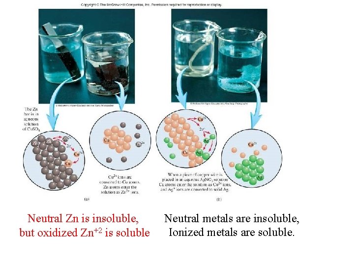 Neutral Zn is insoluble, but oxidized Zn+2 is soluble Neutral metals are insoluble, Ionized