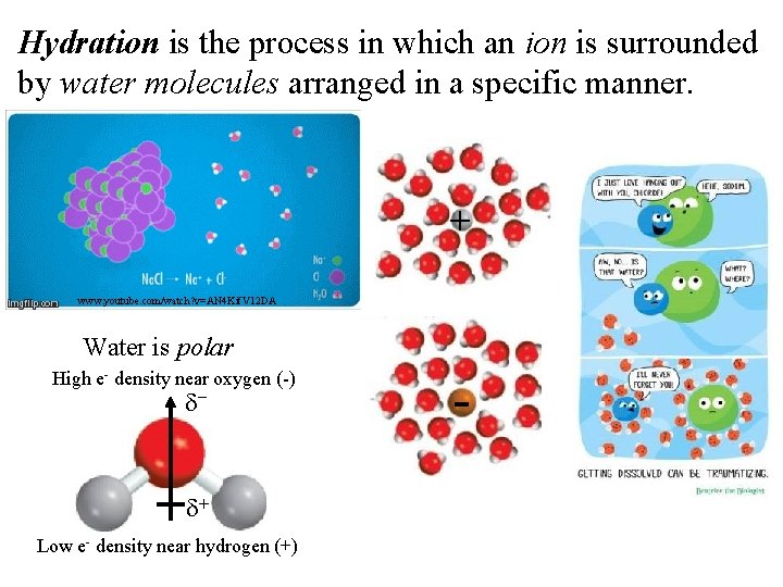 Hydration is the process in which an ion is surrounded by water molecules arranged