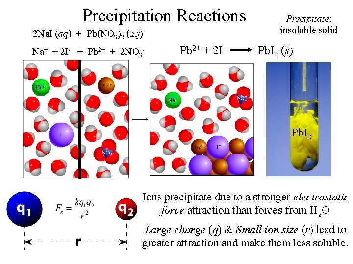 Precipitation Reactions 2 Na. I (aq) + Pb(NO 3)2 (aq) Pb 2+ + 2