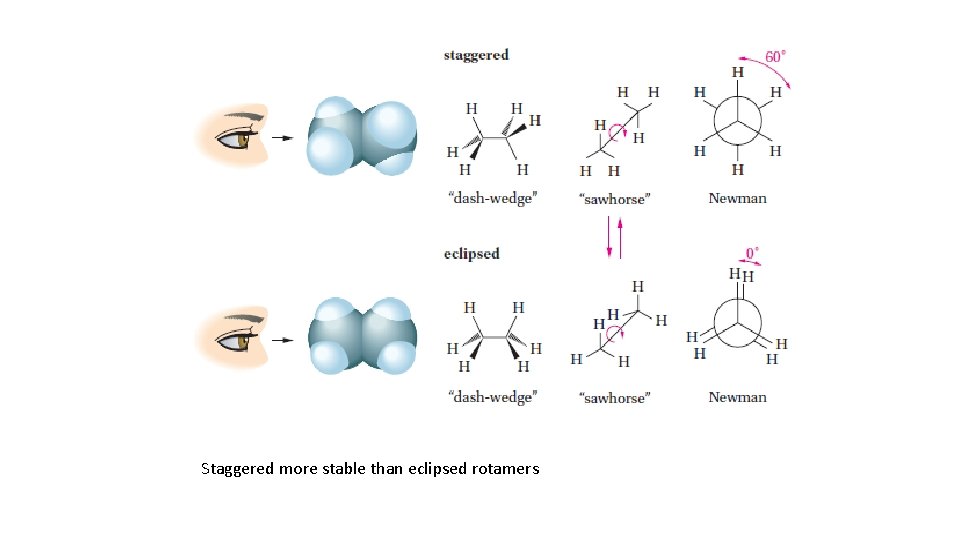 Staggered more stable than eclipsed rotamers 