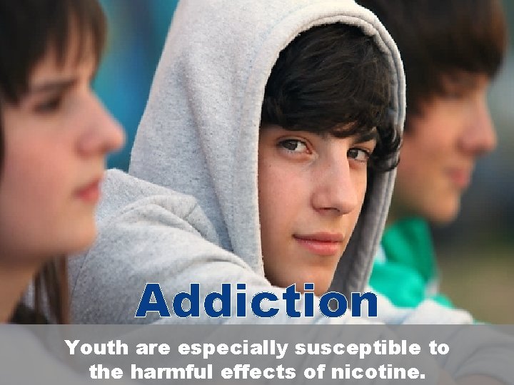 Addiction Youth are especially susceptible to the harmful effects of nicotine. 