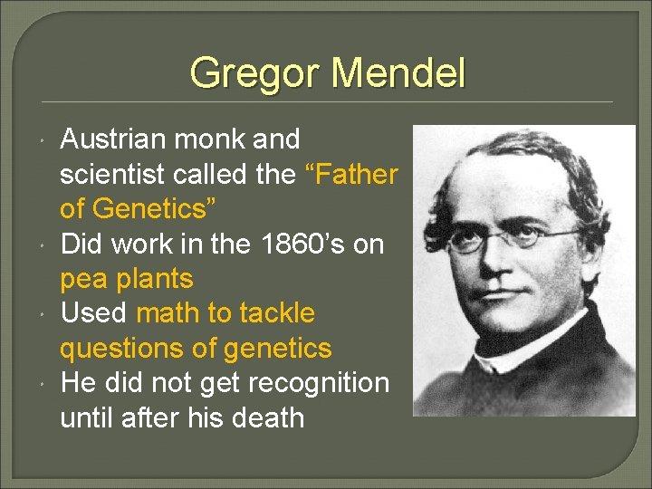 Gregor Mendel Austrian monk and scientist called the “Father of Genetics” Did work in