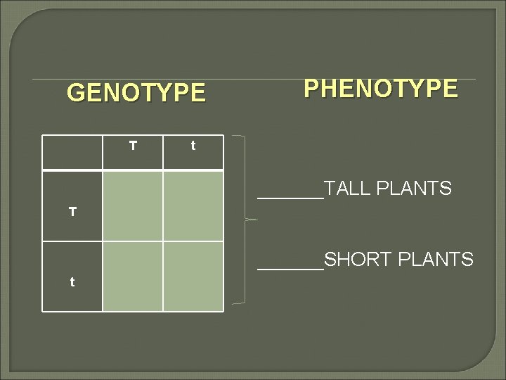 GENOTYPE T PHENOTYPE t ______TALL PLANTS T ______SHORT PLANTS t 
