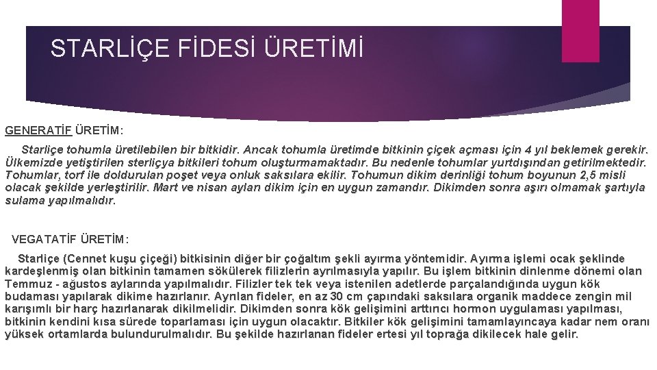 STARLİÇE FİDESİ ÜRETİMİ GENERATİF ÜRETİM: Starliçe tohumla üretilebilen bir bitkidir. Ancak tohumla üretimde bitkinin