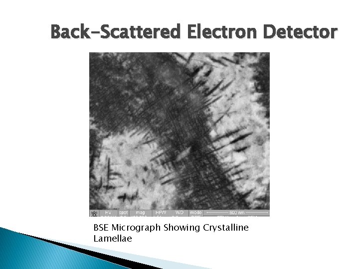 Back-Scattered Electron Detector BSE Micrograph Showing Crystalline Lamellae 