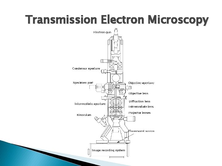 Transmission Electron Microscopy 