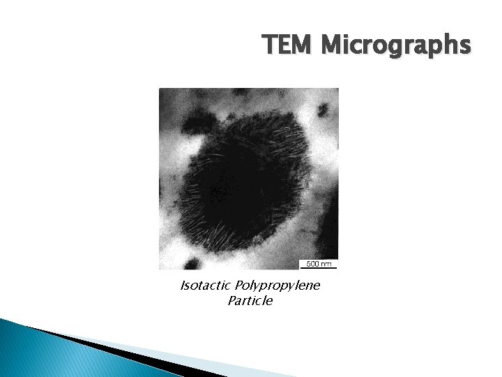 TEM Micrographs Isotactic Polypropylene Particle 