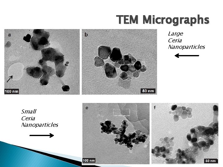 TEM Micrographs Large Ceria Nanoparticles Small Ceria Nanoparticles 