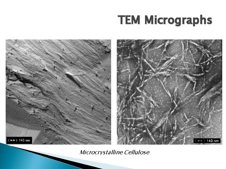 TEM Micrographs Microcrystalline Cellulose 