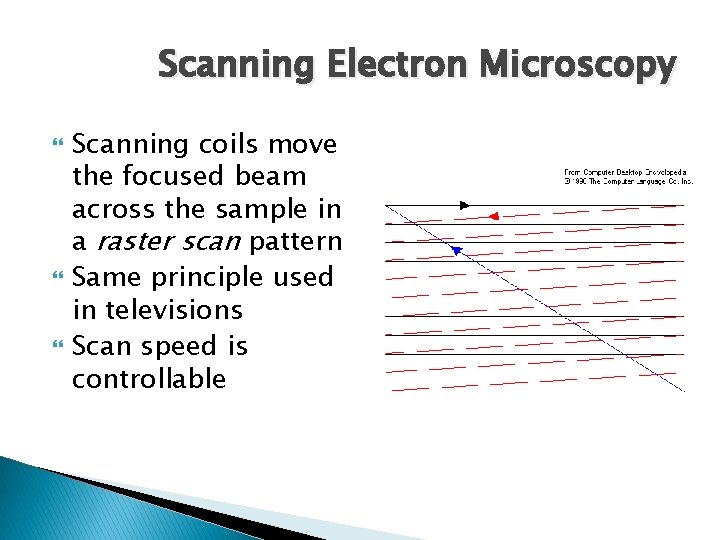 Scanning Electron Microscopy Scanning coils move the focused beam across the sample in a