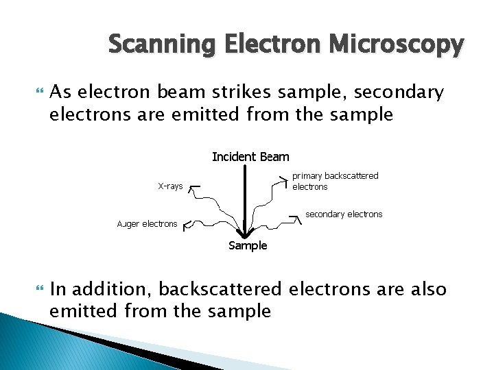 Scanning Electron Microscopy As electron beam strikes sample, secondary electrons are emitted from the