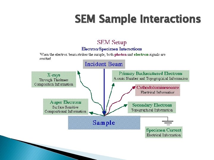 SEM Sample Interactions 