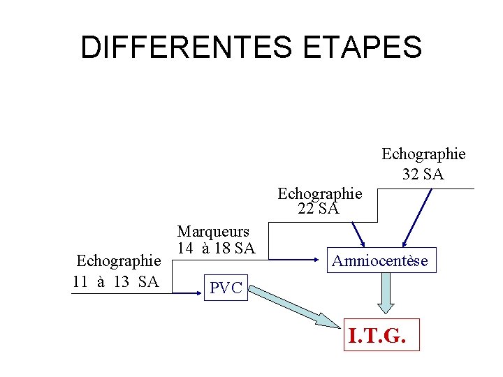 DIFFERENTES ETAPES Echographie 32 SA Echographie 22 SA Echographie 11 à 13 SA Marqueurs