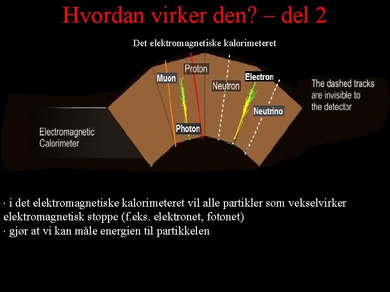 Hvordan virker den? – del 2 Det elektromagnetiske kalorimeteret i det elektromagnetiske kalorimeteret vil