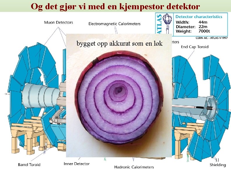 Og det gjør vi med en kjempestor detektor bygget opp akkurat som en løk