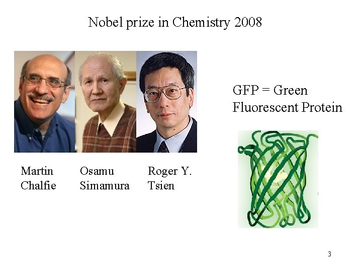 Nobel prize in Chemistry 2008 GFP = Green Fluorescent Protein Martin Chalfie Osamu Simamura