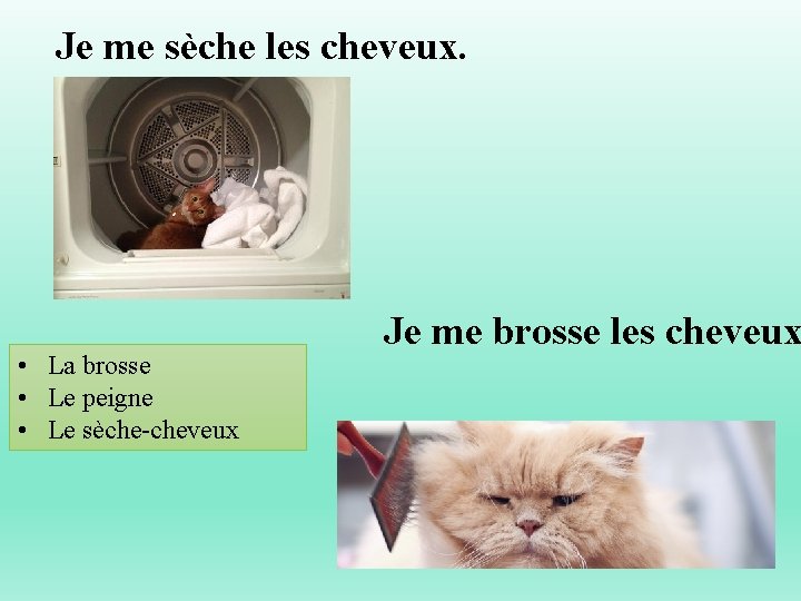 Je me sèche les cheveux. • La brosse • Le peigne • Le sèche-cheveux