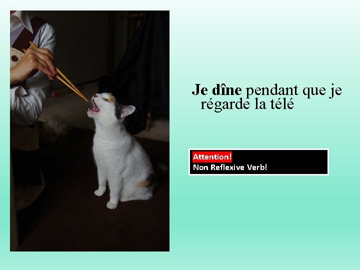 Je dîne pendant que je régarde la télé Attention! Non Reflexive Verb! 