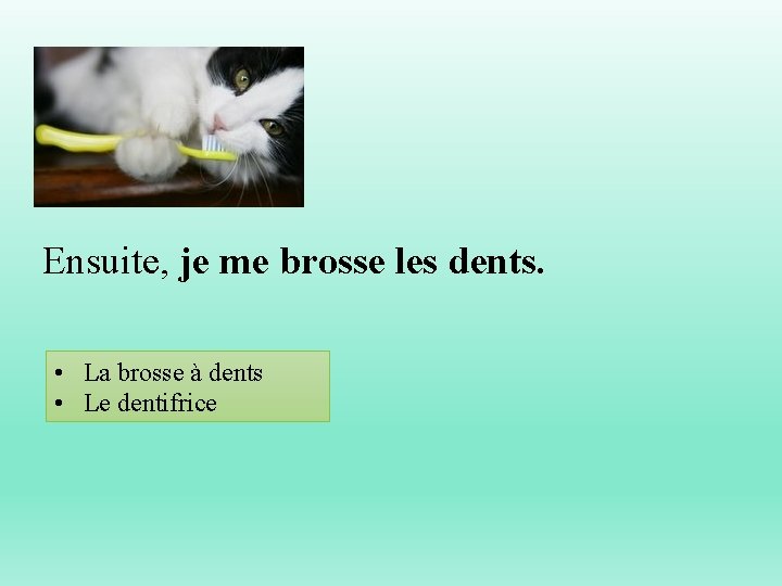 Ensuite, je me brosse les dents. • La brosse à dents • Le dentifrice