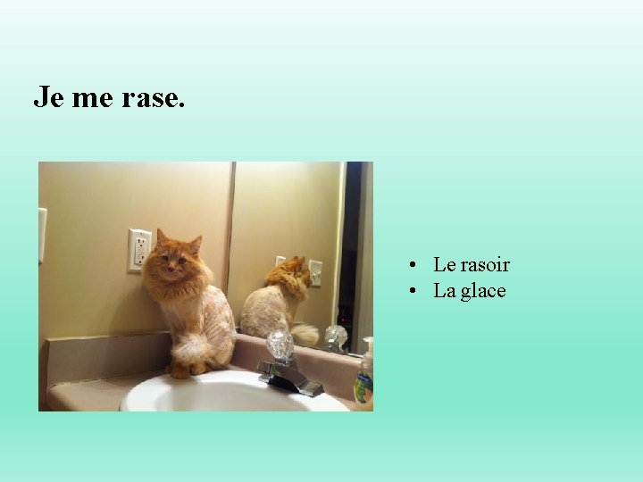 Je me rase. • Le rasoir • La glace 