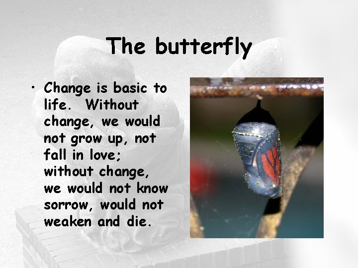 The butterfly • Change is basic to life. Without change, we would not grow