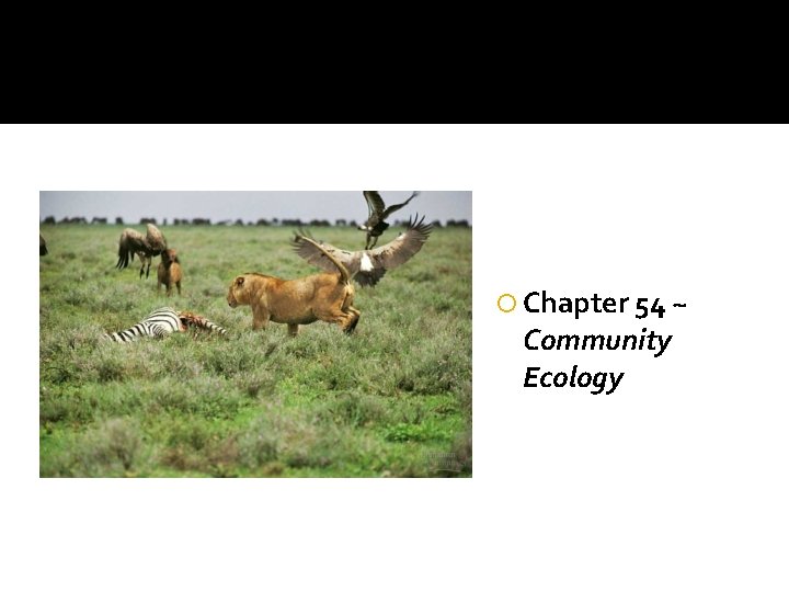 Chapter 54 ~ Community Ecology 