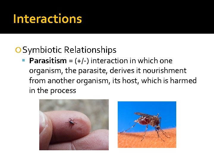 Interactions Symbiotic Relationships Parasitism = (+/-) interaction in which one organism, the parasite, derives