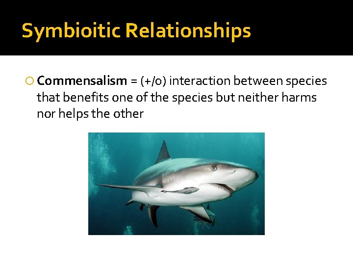 Symbioitic Relationships Commensalism = (+/0) interaction between species that benefits one of the species