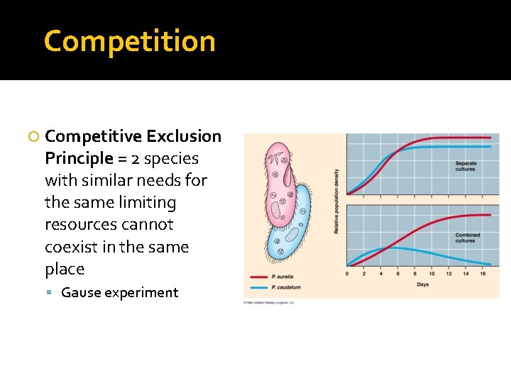 Competition Competitive Exclusion Principle = 2 species with similar needs for the same limiting
