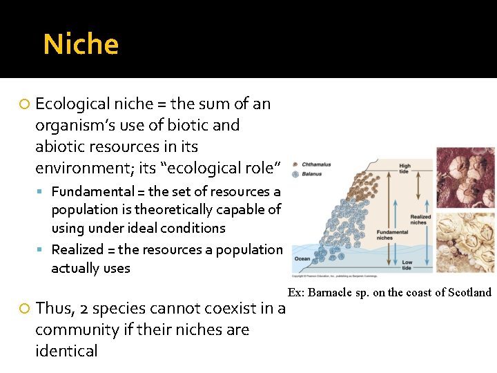 Niche Ecological niche = the sum of an organism’s use of biotic and abiotic