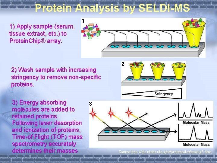 Protein Analysis by SELDI-MS 1) Apply sample (serum, tissue extract, etc. ) to Protein.