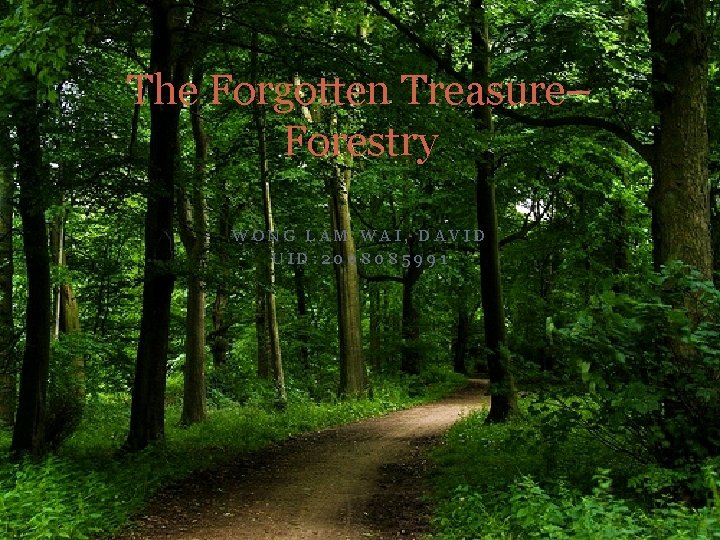 The Forgotten Treasure– Forestry WONG LAM WAI, DAVID UID: 2008085991 