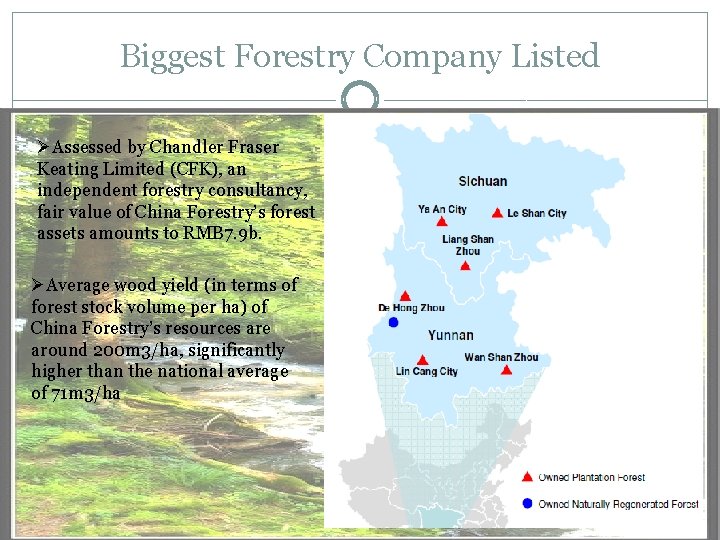 Biggest Forestry Company Listed ØAssessed by Chandler Fraser Keating Limited (CFK), an independent forestry