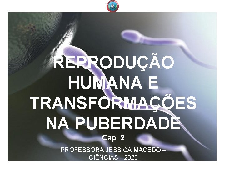 Reprodução humana e. REPRODUÇÃO transformações na puberdade. E HUMANA Cap. 2 TRANSFORMAÇÕES NA PUBERDADE