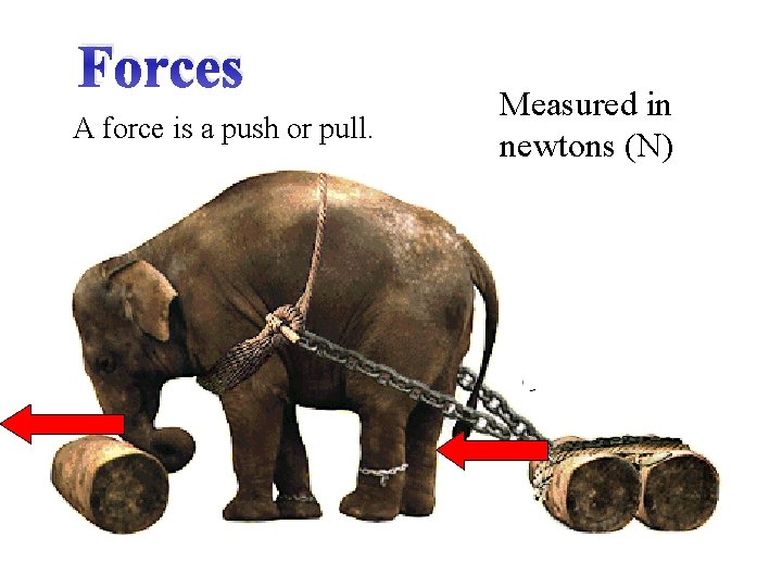 Forces A force is a push or pull. Measured in newtons (N) 