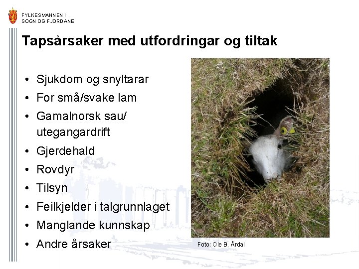 FYLKESMANNEN I SOGN OG FJORDANE Tapsårsaker med utfordringar og tiltak • Sjukdom og snyltarar