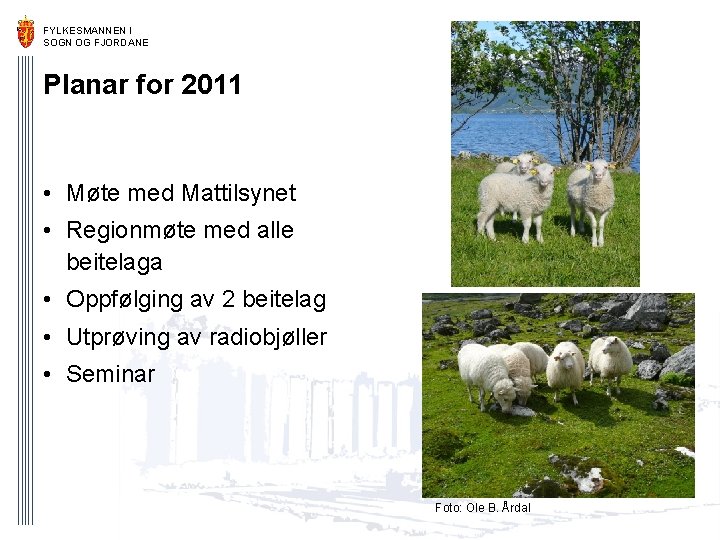 FYLKESMANNEN I SOGN OG FJORDANE Planar for 2011 • Møte med Mattilsynet • Regionmøte