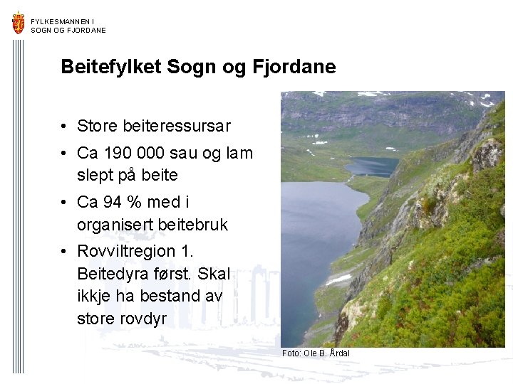 FYLKESMANNEN I SOGN OG FJORDANE Beitefylket Sogn og Fjordane • Store beiteressursar • Ca