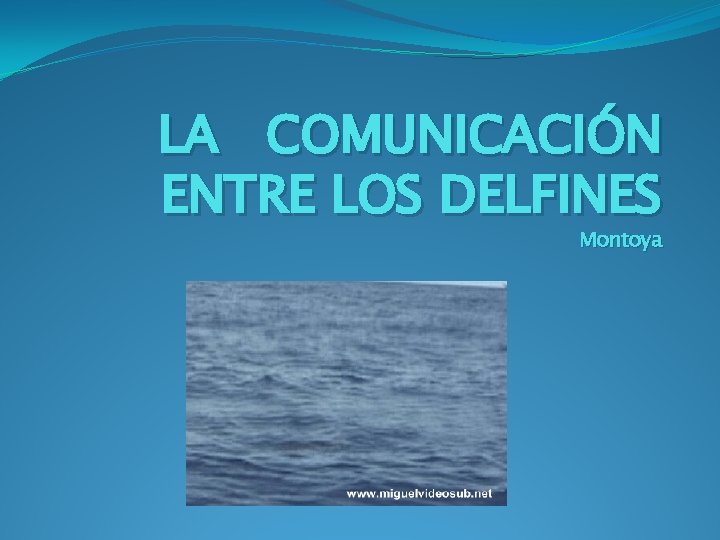 LA COMUNICACIÓN ENTRE LOS DELFINES Montoya 