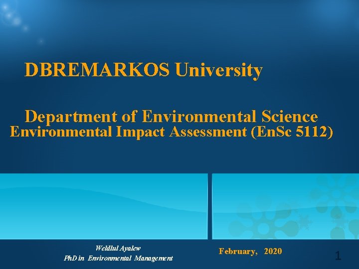 DBREMARKOS University Department of Environmental Science Environmental Impact Assessment (En. Sc 5112) Weldlul Ayalew