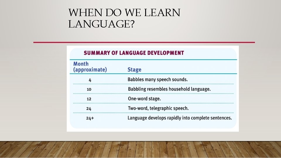 WHEN DO WE LEARN LANGUAGE? 