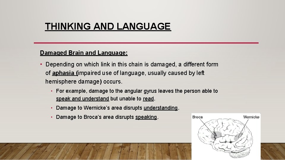 THINKING AND LANGUAGE Damaged Brain and Language: • Depending on which link in this