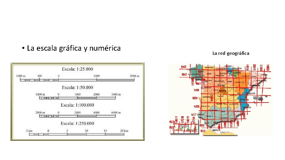  • La escala gráfica y numérica La red geográfica 