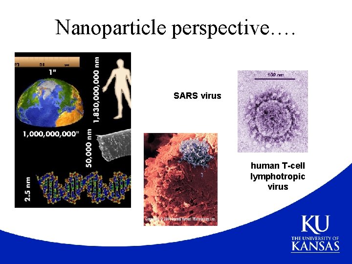 Nanoparticle perspective…. SARS virus human T-cell lymphotropic virus 