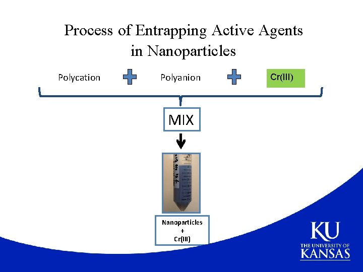 Process of Entrapping Active Agents in Nanoparticles Polycation Polyanion MIX Nanoparticles + Cr(III) 