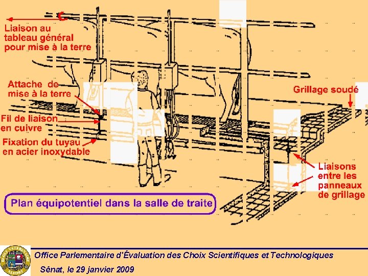 Office Parlementaire d'Évaluation des Choix Scientifiques et Technologiques Sénat, le 29 janvier 2009 